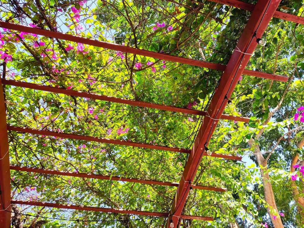 Les tendances déco pour une pergola